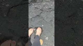 Black sand beach in Hawaii!