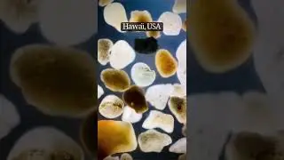 Песок и Микроскоп 🔬 #микроскоп #наука #исследования #природа #видео_эксперименты #shorts