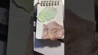 Хорошо получается?
