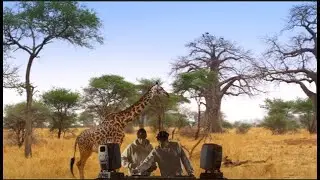 Diode Eins -  Melodic & African House Set (Sonic Experience #002)
