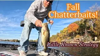 Chatter Baits in the Fall?