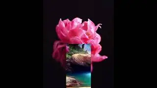 спокойной  ночи 🌙 🌙 🌙 🌙 🌙 🌙