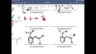 ARIO Organic Chemistry Practice Problems; Step by Step Walkthrough on Ranking Stability of Protons