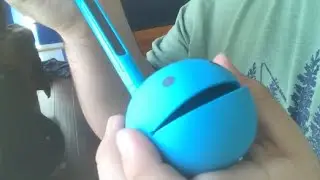 I got an Otamatone for my birthday