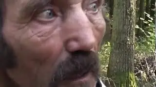 о курва | мем из тик тока
