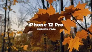 iPhone 12 Pro Cinematic Video and Camera Stabilization Test
