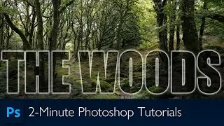 How to Make a Woodland Photo More Inviting | Photoshop Tutorial