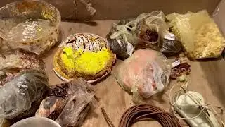 выжить любой ценой