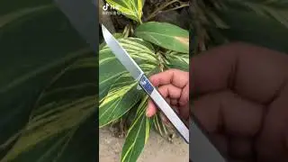 9TiEDC knives