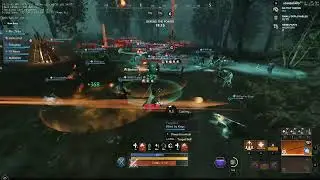 New World Nyx Brightwood Defence Healer (Life staff-Rapier)