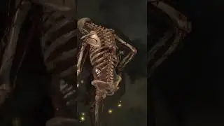 Sniper Elite 4 ⁕МИНЫ⁕