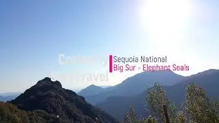 California Highlights of Sequoia National, Big Sur Elephant Seals