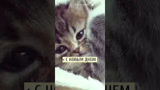 С добрым утром! Открытка пожелание