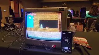 World's First 2-Player Super Pitfall World Record Speedrun