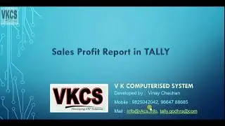 Sales Profit Report in TALLY