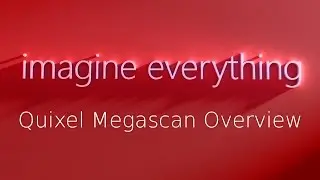 Megascans Overview