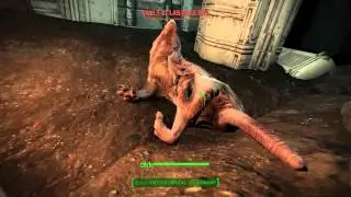 Fallout 4 - Part 19 - Hole in the Wall Vault 81 [PC 1080p 60fps]