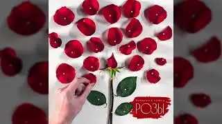 Формация Лимон - Розы (2021)