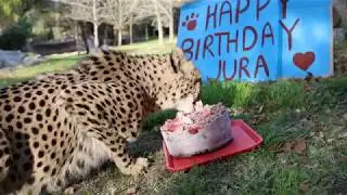 Jura's birthday