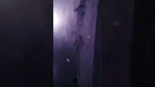VID 20200210 134457