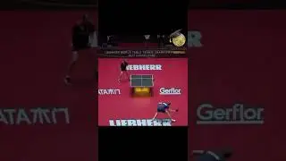 Bitcoin Government War 🏓 #bitcoinmemes #cryptomeme #bitcoin #cryptomemes