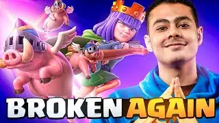 Royal Hogs AQ Is Back and It’s INSANE😱