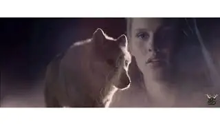 ~ REBEKAH MIKAELSON AND THE MYSTERIOUS WOLF ~ {Falling in love with a werewolf}