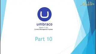 UMB11-010: 