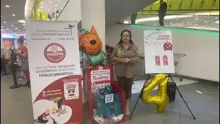 День рождения проекта 