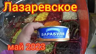 Лазаревское/ Нашли ту самую барабулю в т/ с / Охотничий магазин