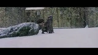 С НОВЫМ ГОДОМ! Поздравление от Гарри Поттера