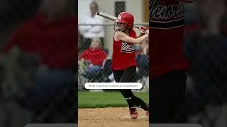 These Countries Like Baseball More Than The US