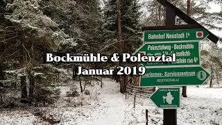 Training im Polenztal (Bockmühlenrunde - Märzenbecherwiesen) Januar 2019