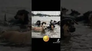 Каховська ГЕС 💔