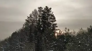 Река УЙ ( Омская область, Тарский район)