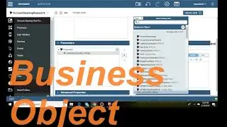 How to Create Business Object in IBM BAW | IBM BPM 