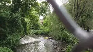 Kayaker on the Bronx River #shorts