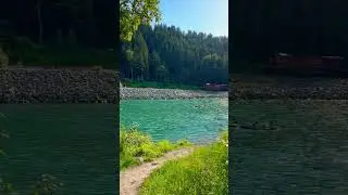 #vlog #calgary #river #weekend #summer #park #nature #natural #august #life #canada #alberta #vlogs