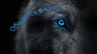 общаюсь в чате в WolfSimulationEvolution