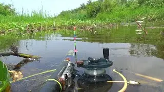 AWAS!! nonton video ini resiko gak bisa tidur Spot Lokasi Favorit Nila Besar! hasilnya bikin ngiler.