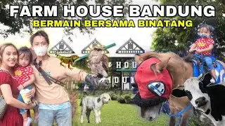 PERTAMA KALI ANYA KASIH SUSU SAPI & MAKAN DOMBA!
