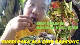 GOKIL!!! CINA KAMPUNG MASAK TUMIS PAKU/PAKIS HASIL ALAM