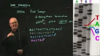 Sanger sequencing