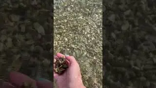 АСМР 🌊Озеро🌊ASMR The Lake