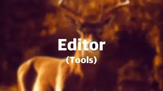 Superimpose X Tutorial: Editor (Tools)