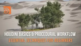 Houdini Basics & Procedural Workflows: Essential Techniques for Beginners #houdini #proceduralart