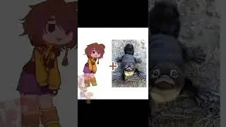 это мой лав пет♡♡♡♡