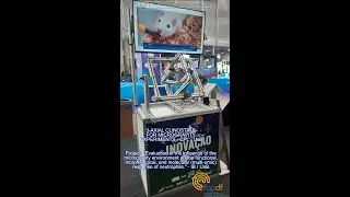 Three-axis clinostat for microgravity experiments
