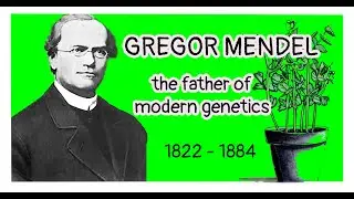 Gregor Mendel, the father of modern genetics.