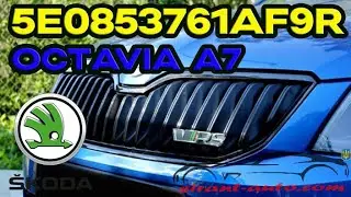 5E0853761AF9R Окантовка решетки радиатора Skoda Octavia A7